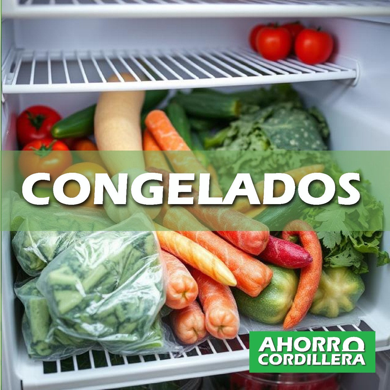 Congelados