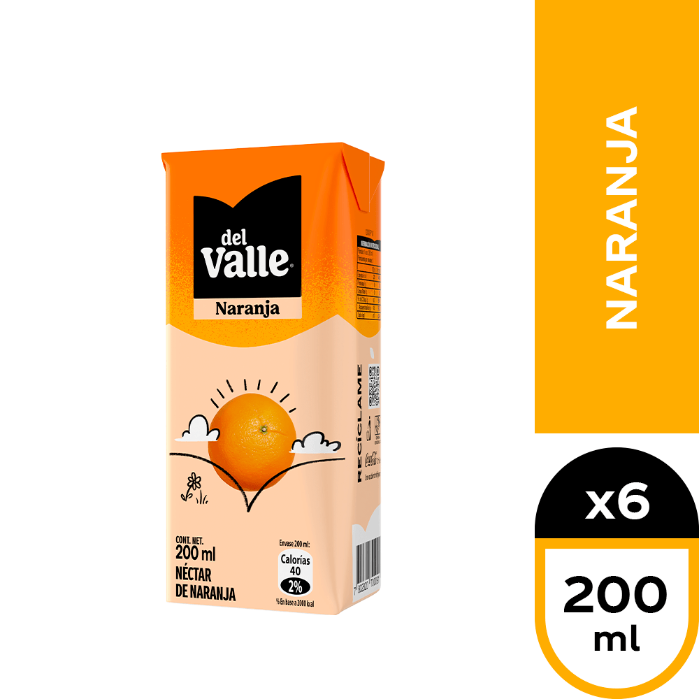 Pack 6 unidades  Nectar Del Valle Naranja