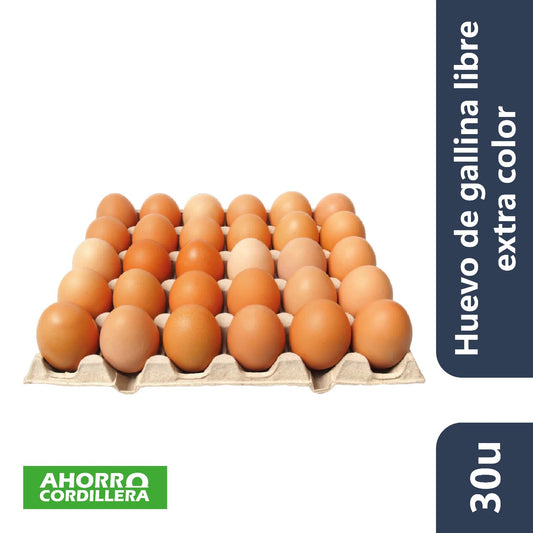 Huevo de gallina libre extra color bandeja 30 unidades