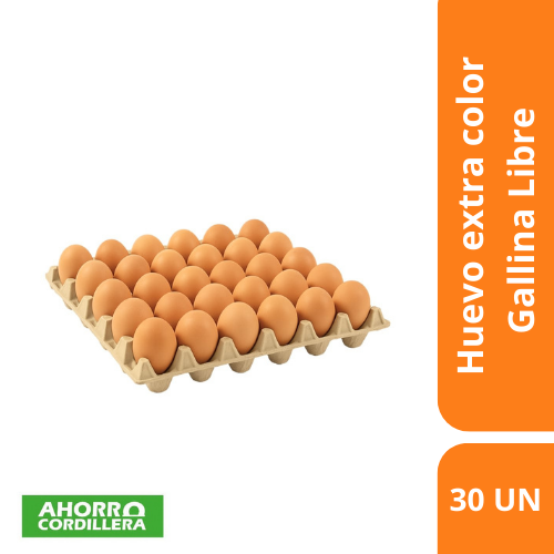 Huevo de gallina libre extra color bandeja 30 unidades