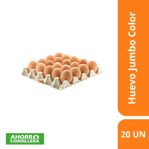 Huevo Jumbo Color 20 Unidades