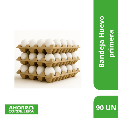 Huevo Primera 90 Unidades
