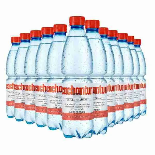 Pack 12 Cachantun  Sin gas  600cc